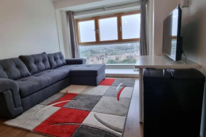 Gottersea 1 bedroom flat in Battersea 70 mq